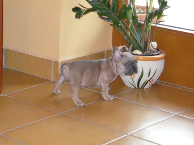 P1280693