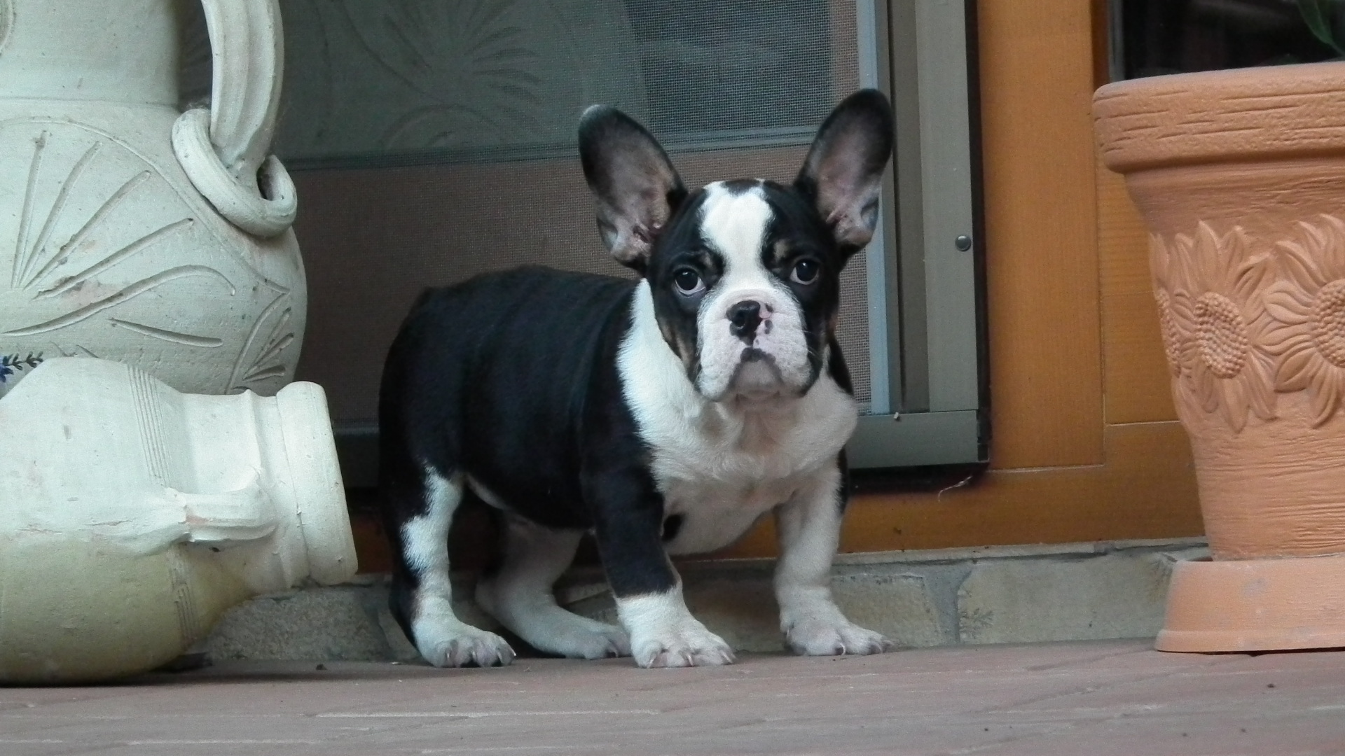 ROCKY 028