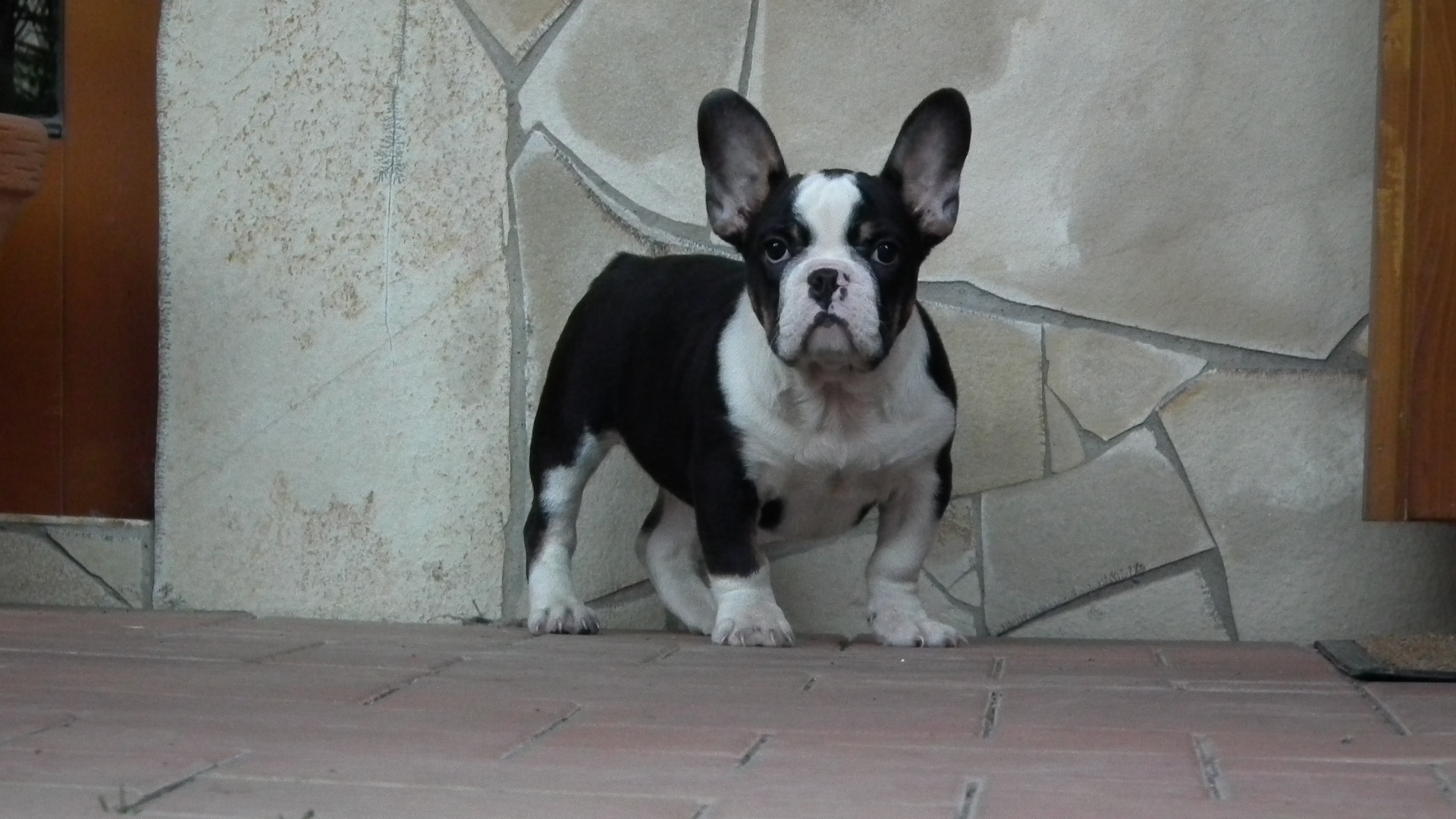 ROCKY 069