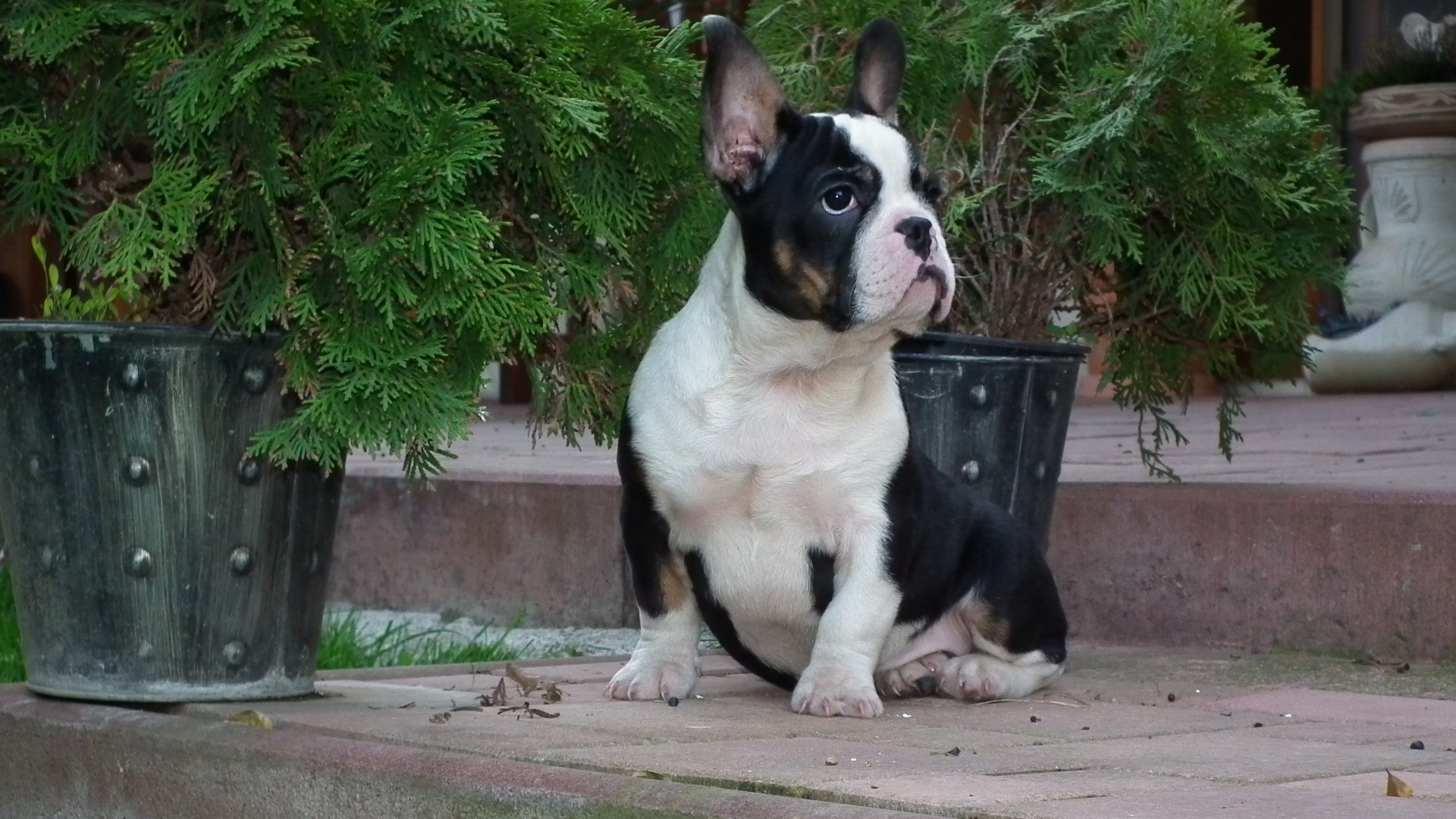 ROCKY 160