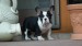 ROCKY 028