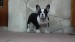 ROCKY 069