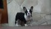 ROCKY 072