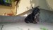 b nt lila 031