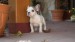b nt lila 079