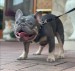 IMG_20210926_182743